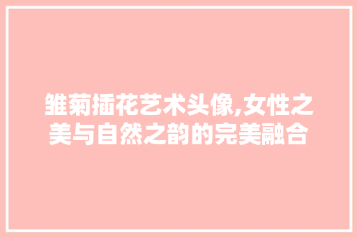 雏菊插花艺术头像,女性之美与自然之韵的完美融合 种植技巧