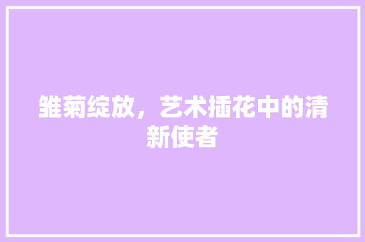 雏菊绽放，艺术插花中的清新使者