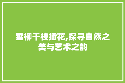 雪柳干枝插花,探寻自然之美与艺术之韵