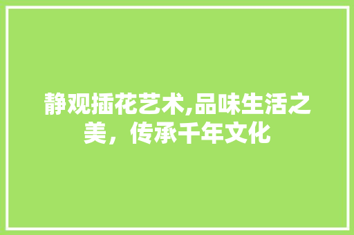 静观插花艺术,品味生活之美，传承千年文化 土壤施肥