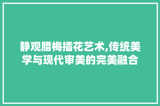 静观腊梅插花艺术,传统美学与现代审美的完美融合 种植技巧