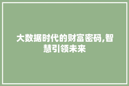 大数据时代的财富密码,智慧引领未来