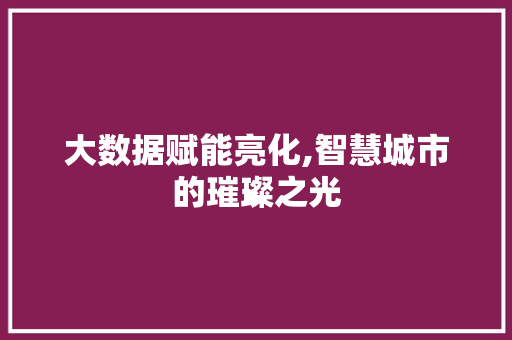 大数据赋能亮化,智慧城市的璀璨之光