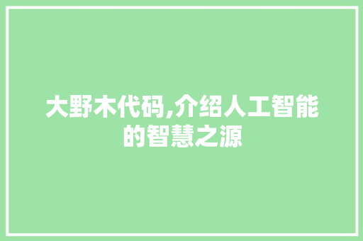 大野木代码,介绍人工智能的智慧之源