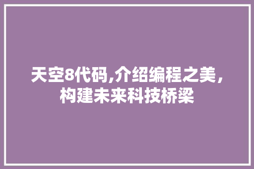 天空8代码,介绍编程之美，构建未来科技桥梁
