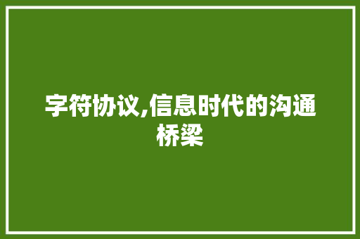 字符协议,信息时代的沟通桥梁
