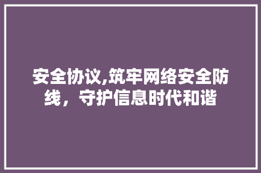 安全协议,筑牢网络安全防线，守护信息时代和谐