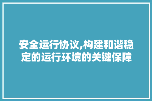 安全运行协议,构建和谐稳定的运行环境的关键保障