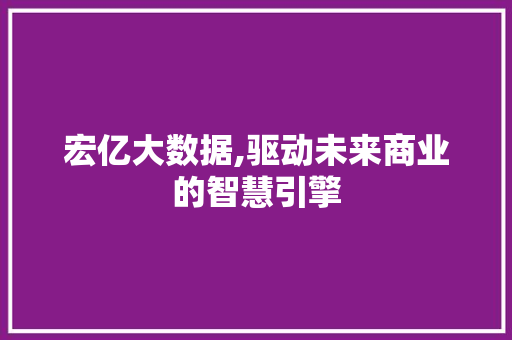 宏亿大数据,驱动未来商业的智慧引擎