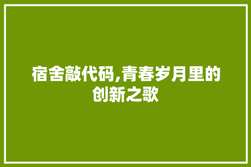 宿舍敲代码,青春岁月里的创新之歌