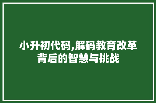 小升初代码,解码教育改革背后的智慧与挑战