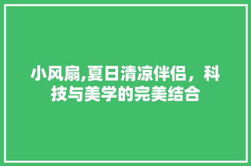 小风扇,夏日清凉伴侣，科技与美学的完美结合