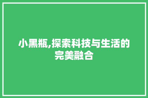 小黑瓶,探索科技与生活的完美融合