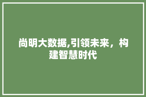 尚明大数据,引领未来，构建智慧时代