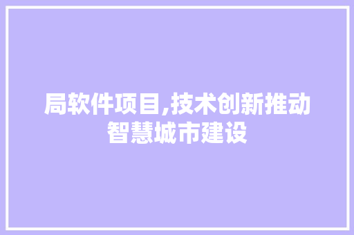 局软件项目,技术创新推动智慧城市建设