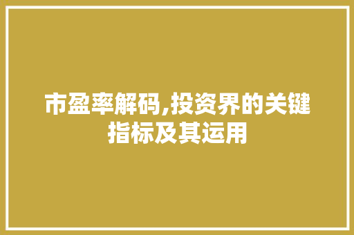 市盈率解码,投资界的关键指标及其运用