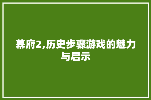 幕府2,历史步骤游戏的魅力与启示