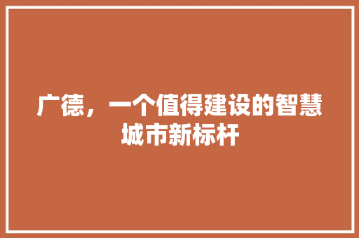 广德，一个值得建设的智慧城市新标杆