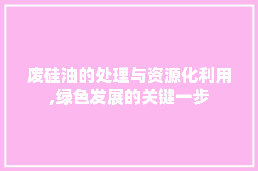 废硅油的处理与资源化利用,绿色发展的关键一步