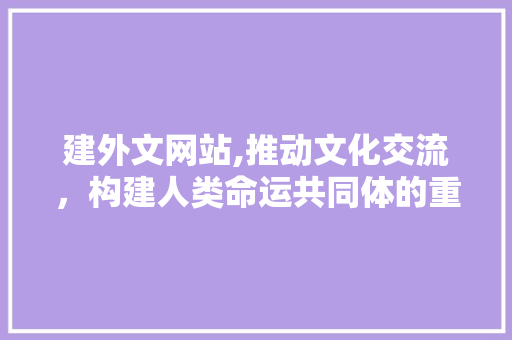 建外文网站,推动文化交流，构建人类命运共同体的重要平台