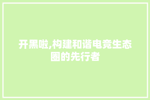 开黑啦,构建和谐电竞生态圈的先行者