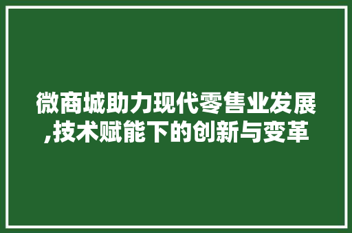 微商城助力现代零售业发展,技术赋能下的创新与变革