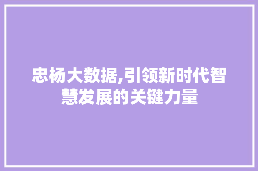忠杨大数据,引领新时代智慧发展的关键力量