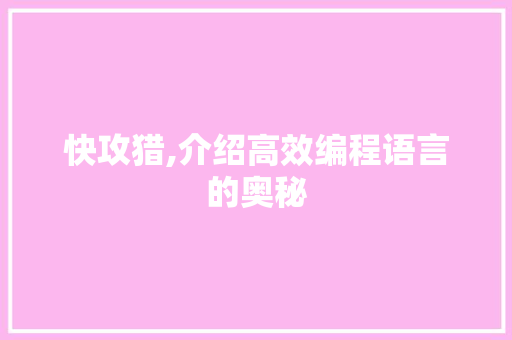快攻猎,介绍高效编程语言的奥秘