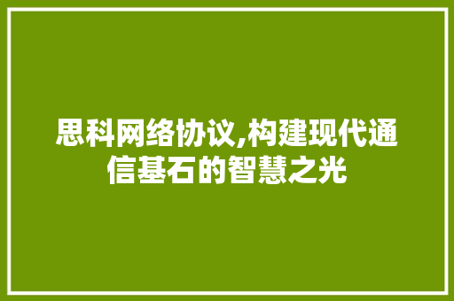 思科网络协议,构建现代通信基石的智慧之光
