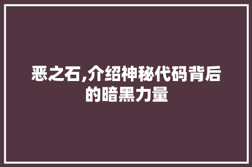 恶之石,介绍神秘代码背后的暗黑力量