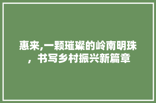 惠来,一颗璀璨的岭南明珠，书写乡村振兴新篇章