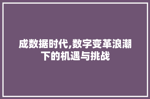 成数据时代,数字变革浪潮下的机遇与挑战