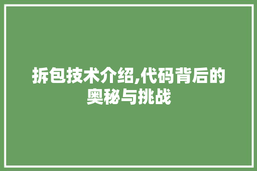 拆包技术介绍,代码背后的奥秘与挑战