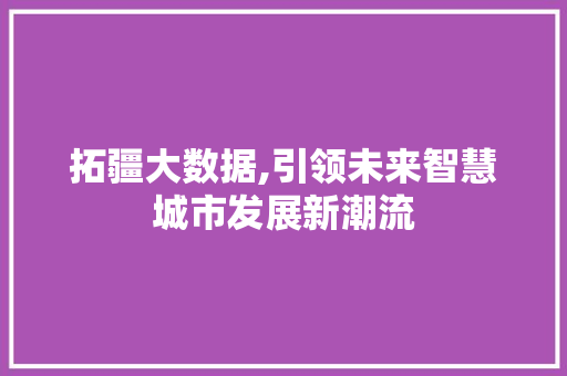 拓疆大数据,引领未来智慧城市发展新潮流