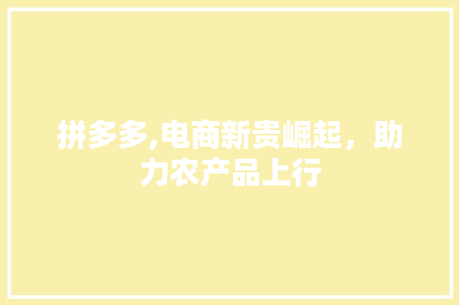 拼多多,电商新贵崛起，助力农产品上行