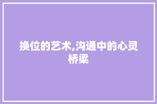 换位的艺术,沟通中的心灵桥梁