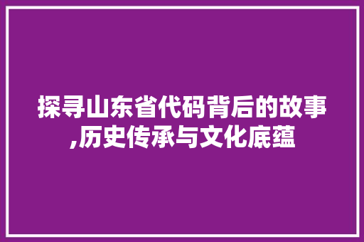探寻山东省代码背后的故事,历史传承与文化底蕴