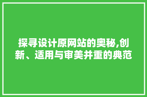 探寻设计原网站的奥秘,创新、适用与审美并重的典范