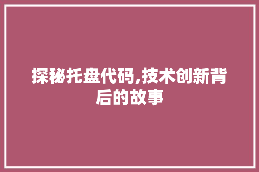 探秘托盘代码,技术创新背后的故事