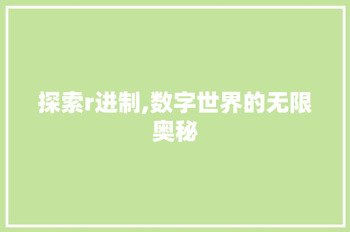 探索r进制,数字世界的无限奥秘