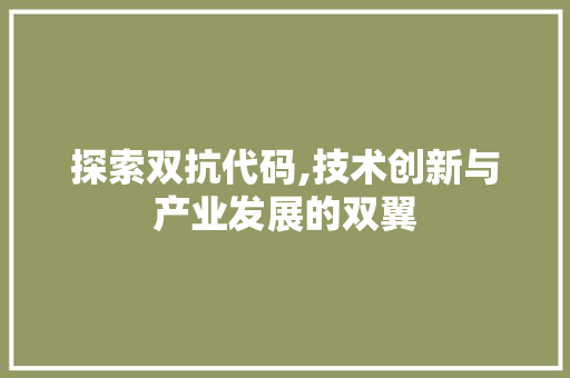 探索双抗代码,技术创新与产业发展的双翼