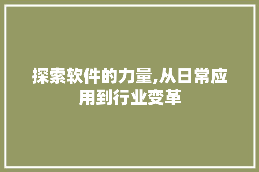 探索软件的力量,从日常应用到行业变革