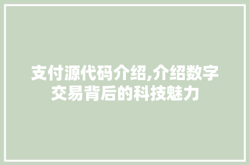 支付源代码介绍,介绍数字交易背后的科技魅力