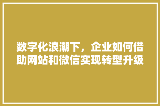 数字化浪潮下，企业如何借助网站和微信实现转型升级