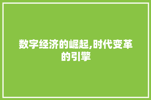 数字经济的崛起,时代变革的引擎 花朵知识