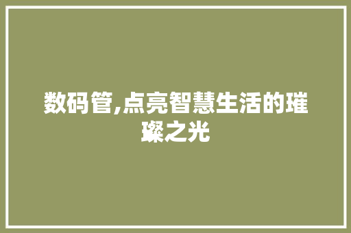 数码管,点亮智慧生活的璀璨之光