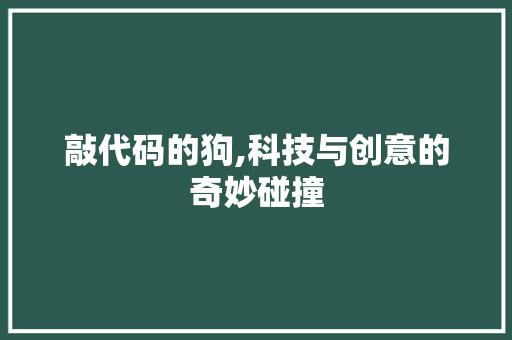 敲代码的狗,科技与创意的奇妙碰撞 番茄种植技巧