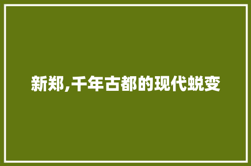 新郑,千年古都的现代蜕变 番茄病虫害防治