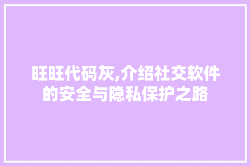 旺旺代码灰,介绍社交软件的安全与隐私保护之路