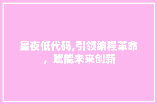 星夜低代码,引领编程革命，赋能未来创新